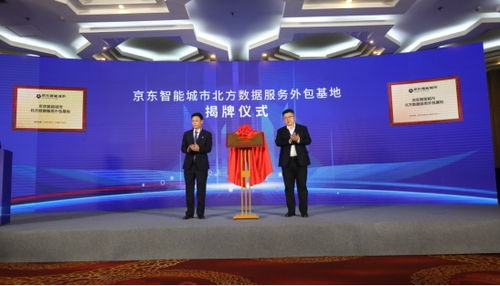 数聚保定，共赢未来 网络与信息安全软件开发新篇章